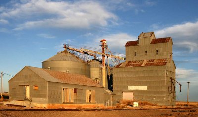 New Mexico Grain Elevators