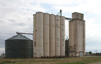 Hale - Evans Grain - Hale Center Wheat Growers - MP 640.9.