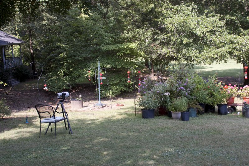 _MG_0988.jpg