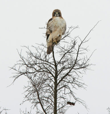 01 04 09_8574_edited-2.jpg