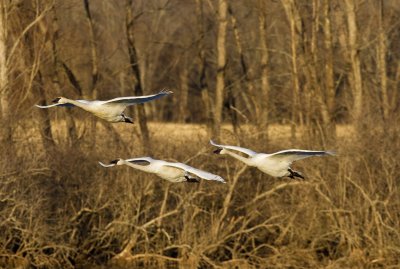 _MG_9734_8710.jpg