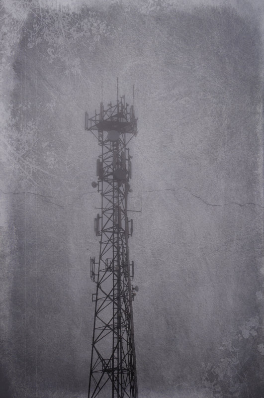 textured mast