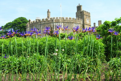 walmer castle & 18th century gardens