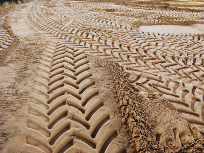 tracks