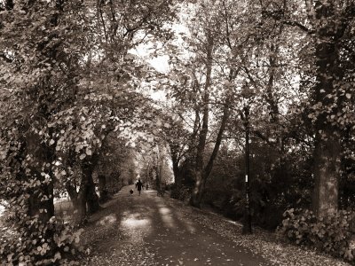 autumn walk