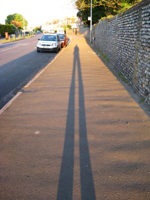 a shadow of my former self