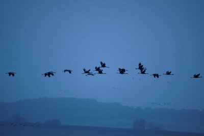 Raw00546_DxO_raw copie.jpg