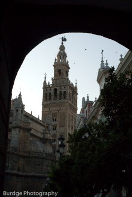 Sevilla Cathederal (Sevilla, Spain)