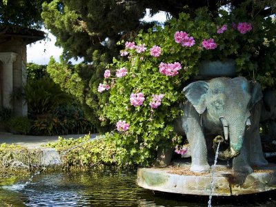 Elephant-Fountain.jpg