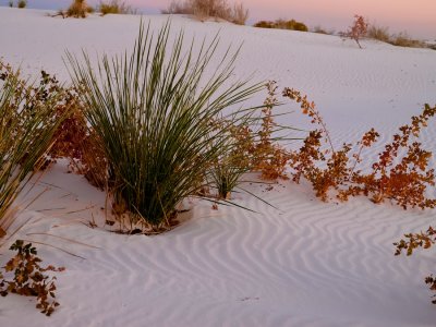 WhiteSands1.jpg