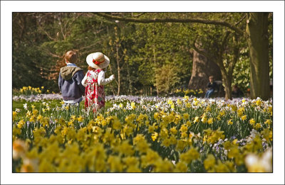 Easter Bonnet