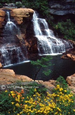 Blackwater Falls summer