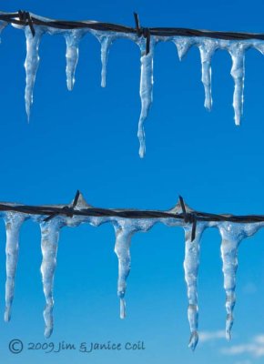 Ice on wire