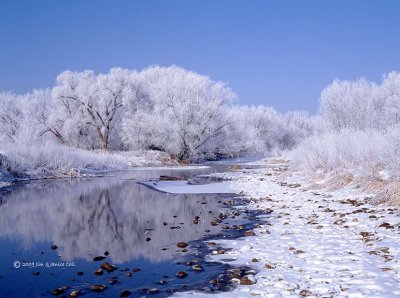 Poudre River frost