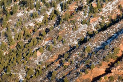 Cascade of junipers, ZNP