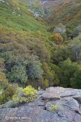 Hornet overlook 1