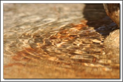 Ripples