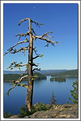 Payette Lake Sentinel