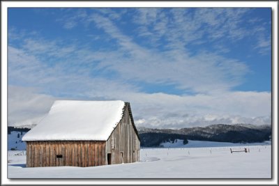 BARNS