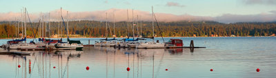 Marina Morning