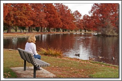 Cypress Pond