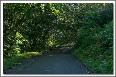 Road to Nahiku
