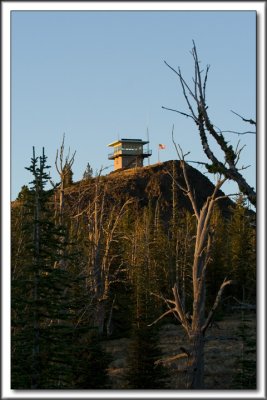 Evening Light