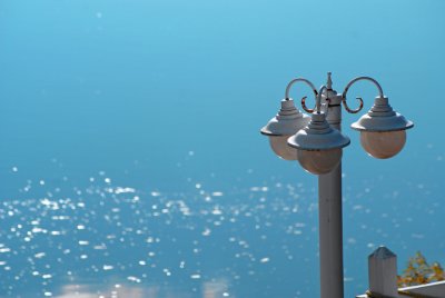 892411.jpg