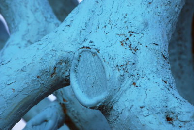blue 52.JPG