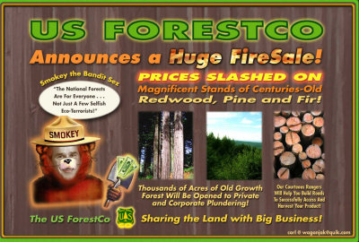 US Forest Inc.