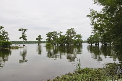 Lake Martin, Louisiana