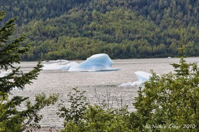 Ice Berg at Mendenhall Hall Glacier, Juneau