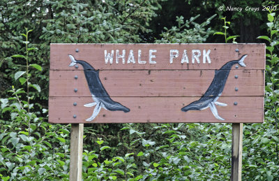 Whale Park, Sitka
