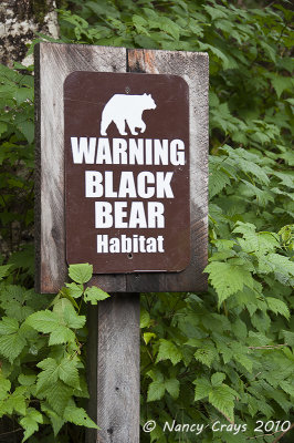 Entering Ketchikan Black Bear Habitat