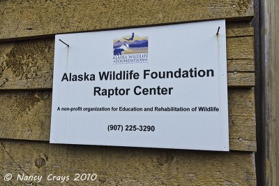 Raptor Center, Ketchikan 