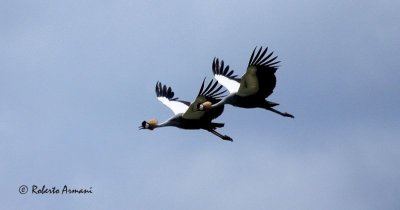 g1/37/962737/3/129489876.BHzyjDqd.jpg