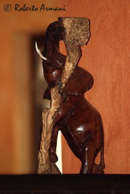 DSC_0011.jpg