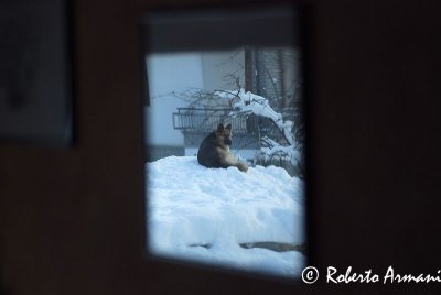 DSC_0044.jpg