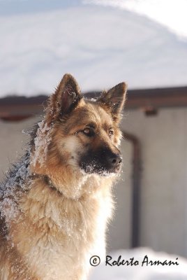 DSC_00661298.jpg