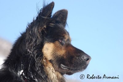 DSC_01441376.jpg
