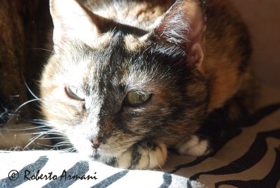DSC_02221454.jpg
