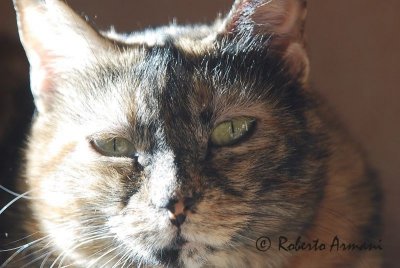 DSC_02301462.jpg