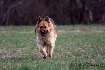 IMG_0117.jpg