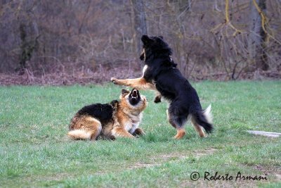 IMG_0124.jpg