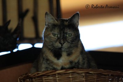 IMG_0213.jpg