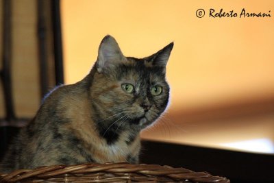 IMG_0215.jpg