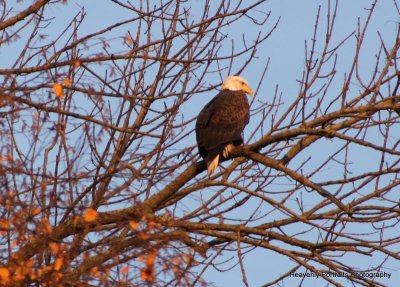IMG_5847.JPG