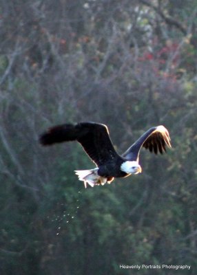 IMG_5854.JPG
