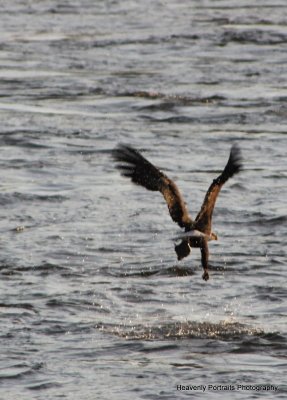 IMG_5866.JPG