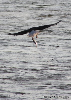 IMG_5867.JPG